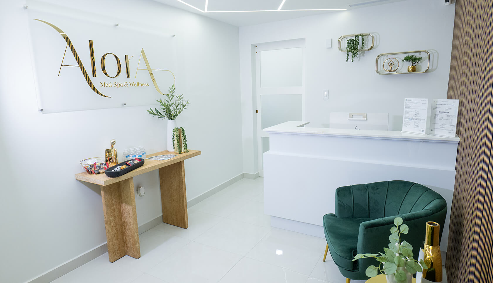 Alora Aesthetic Clinic - Enero 202311