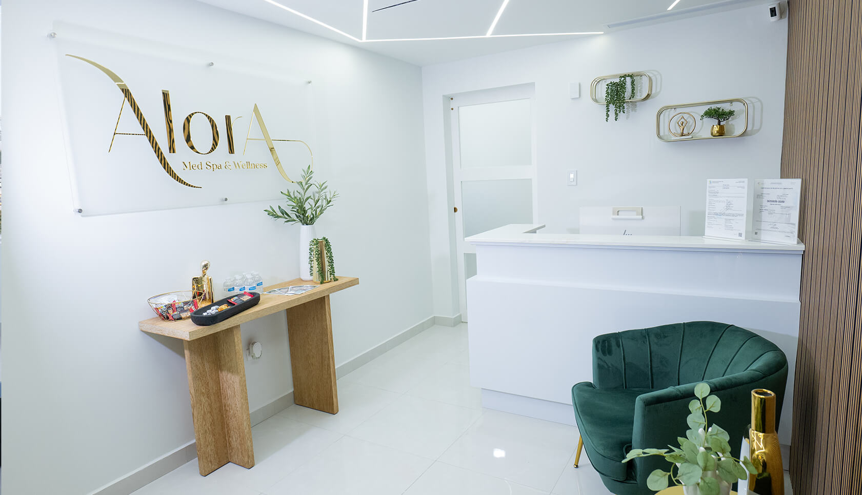 Alora Aesthetic Clinic - Enero 202312