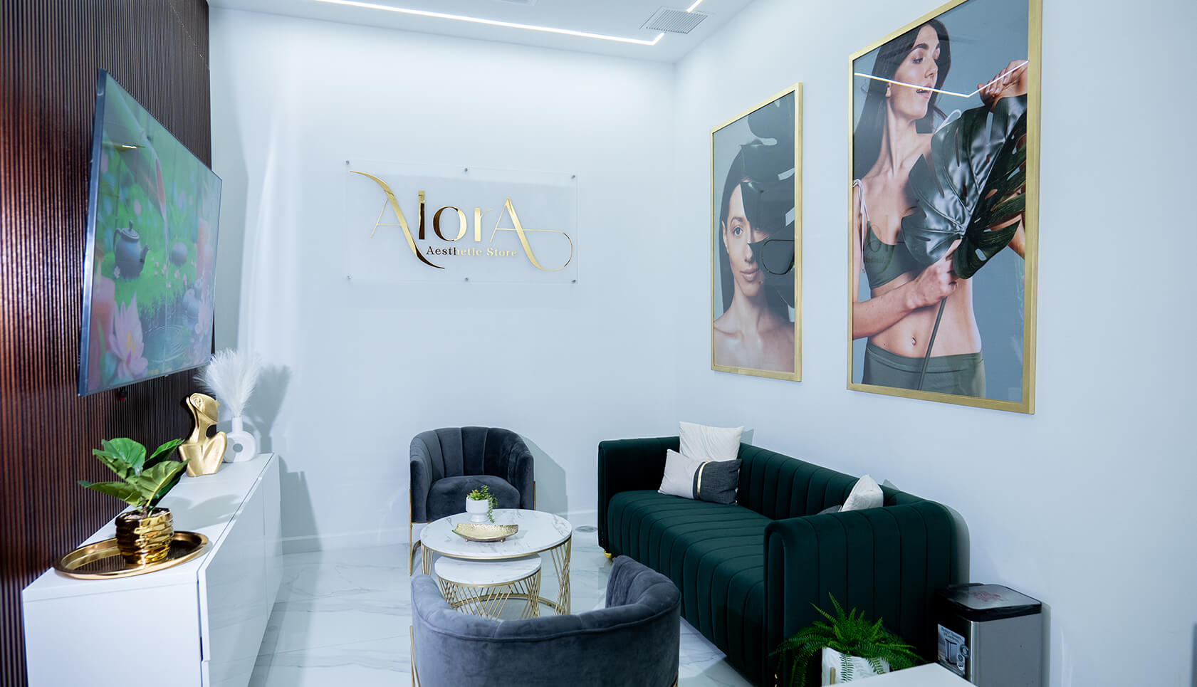 Alora Aesthetic Store-Enero-20233