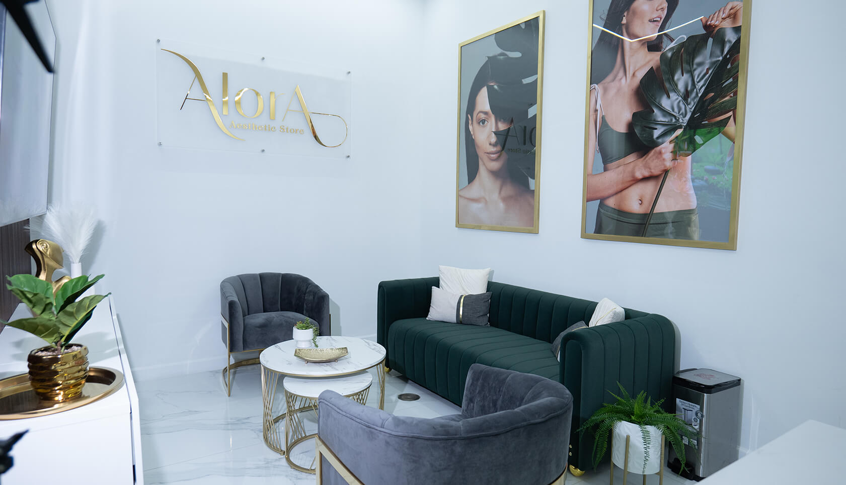 Alora Aesthetic Store-Enero-20236